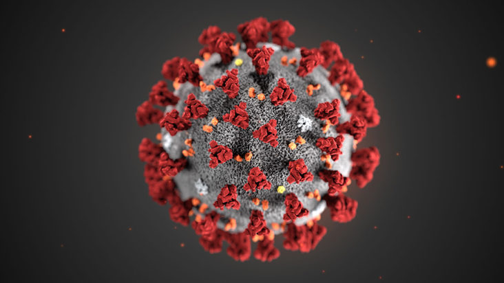 coronavirus e gravidanza